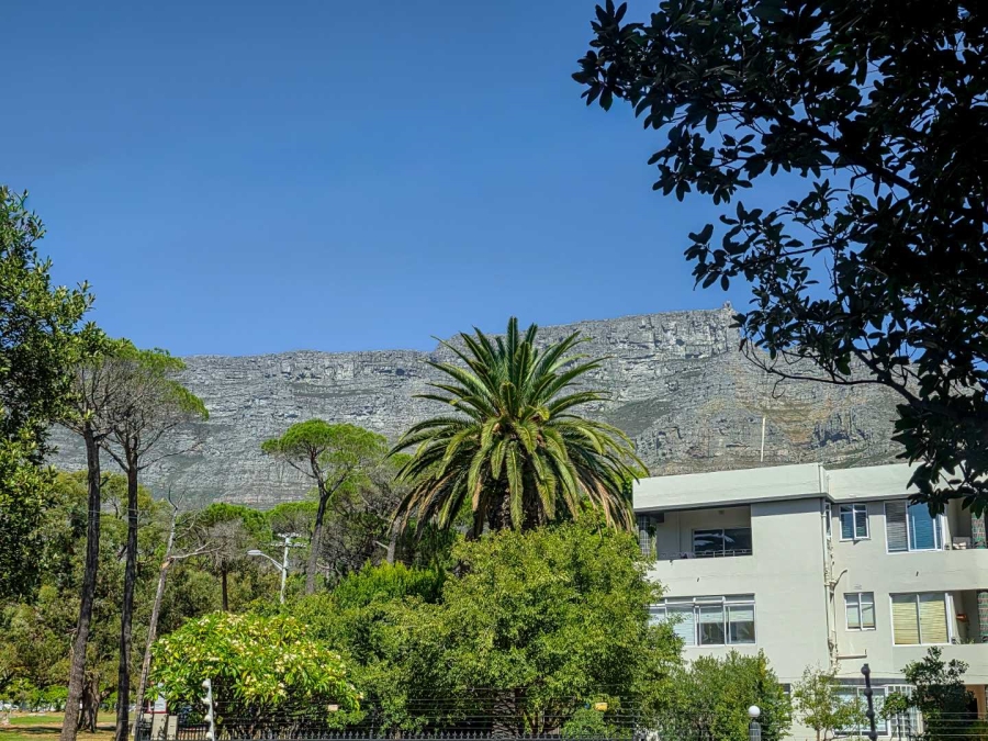 To Let 3 Bedroom Property for Rent in Gardens Western Cape